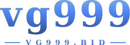 vg999 logo